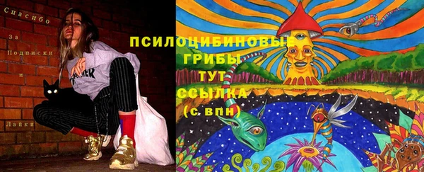 кокаин колумбия Алексин